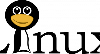 Linux Sunucu SSH RSA host key Bilgisini Almak