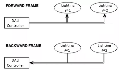 DALI Forward & Backward Frame Example